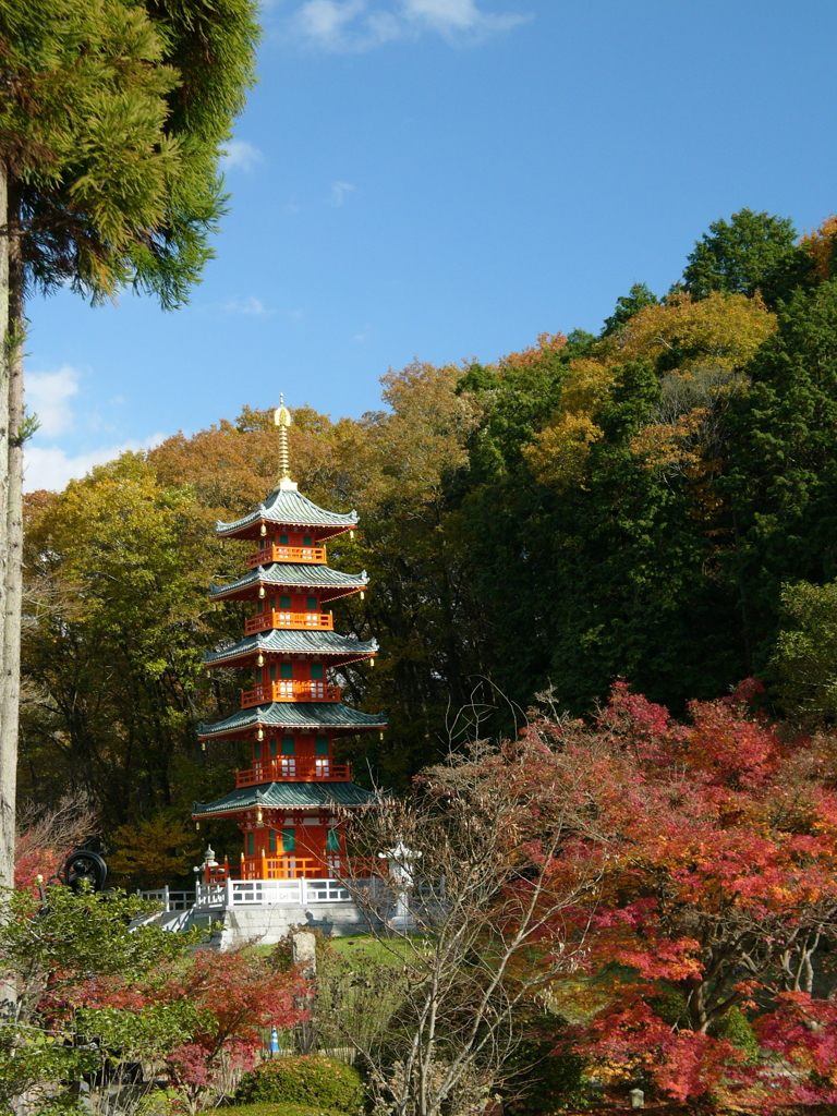 小野市　金剛堂