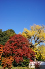 三木市　伽耶院