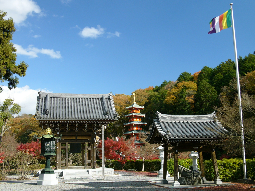 小野市　　金剛堂