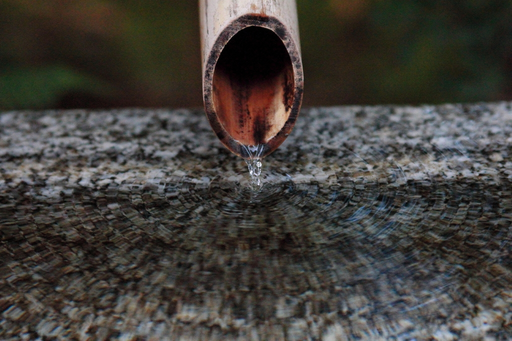 ちょろちょろちょろ