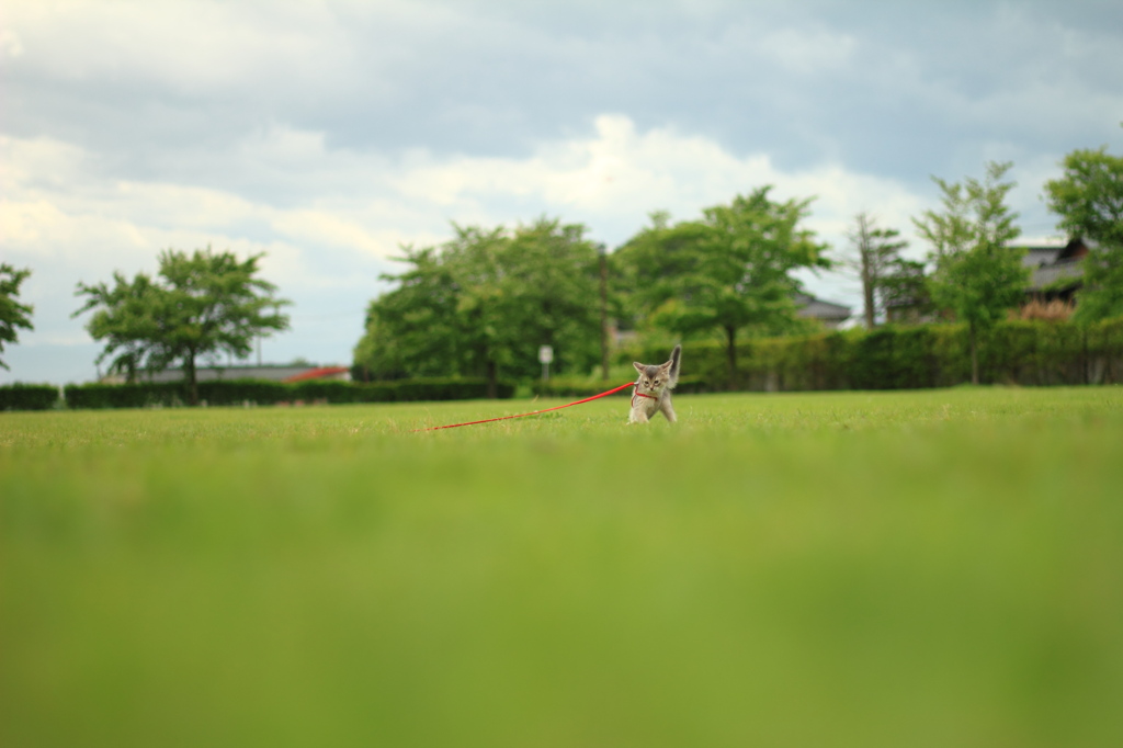 はじめての外遊び