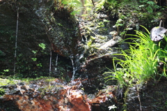 水