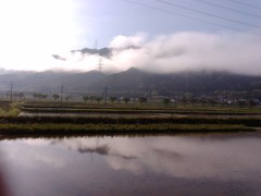 ある朝の風景