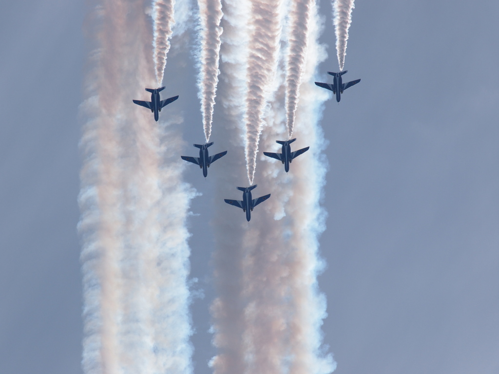 芦屋航空祭