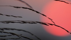 2013.08.28 夕陽