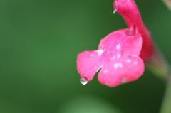 IMG_2801
