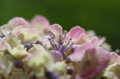 IMG_2849