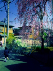 追憶