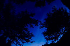 青星空