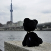 KUMA