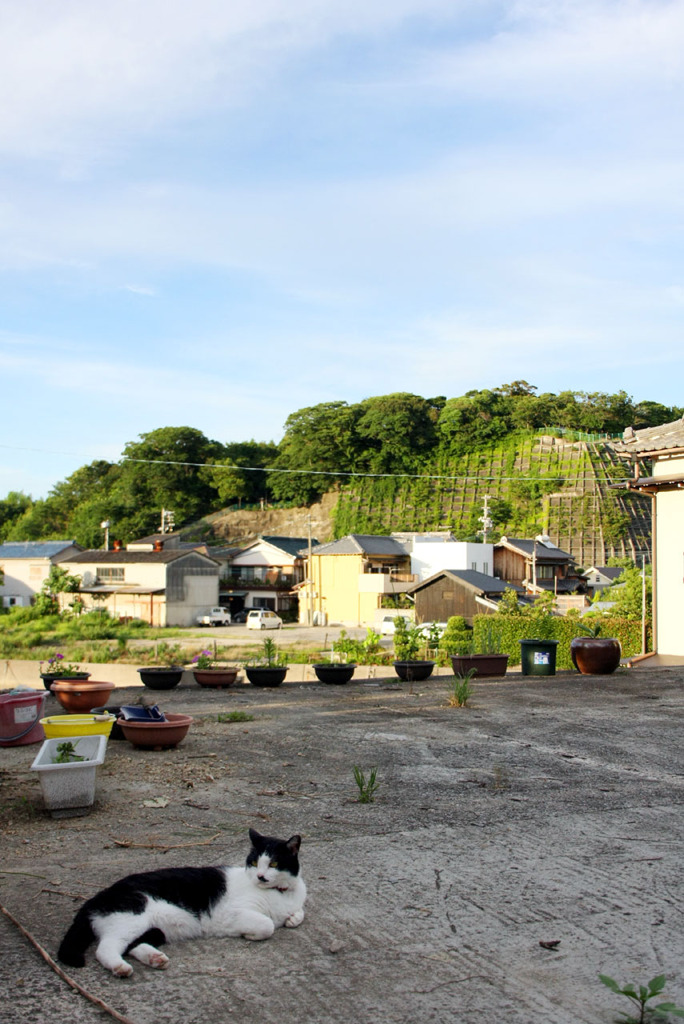 山沿いの町