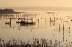 印旛沼・朝景　- 物静かな朝の日常 -