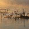 印旛沼・朝景　- 黄金色の霧 -