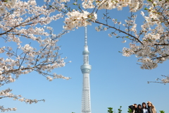 街の情景　- 春の微笑 -