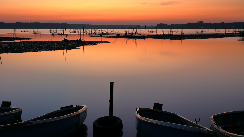 印旛沼・朝景　- 出番待ちの小舟たち -