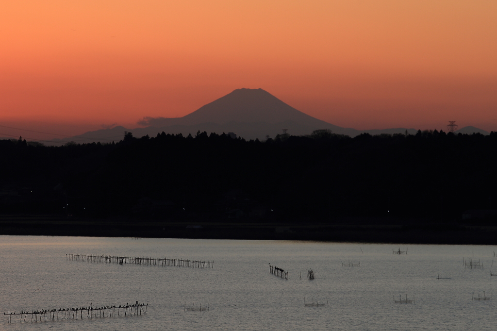 印旛沼・夕景　- 富士を望む -