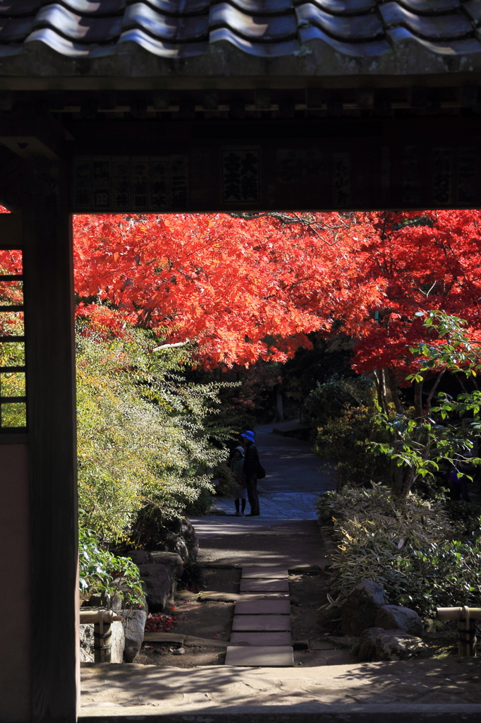 街の情景　- 海蔵寺山門の秋 -