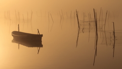 印旛沼・朝景　- 琥珀色の霧に佇む -