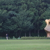 街の情景　- ブロンズ像のある広場 -