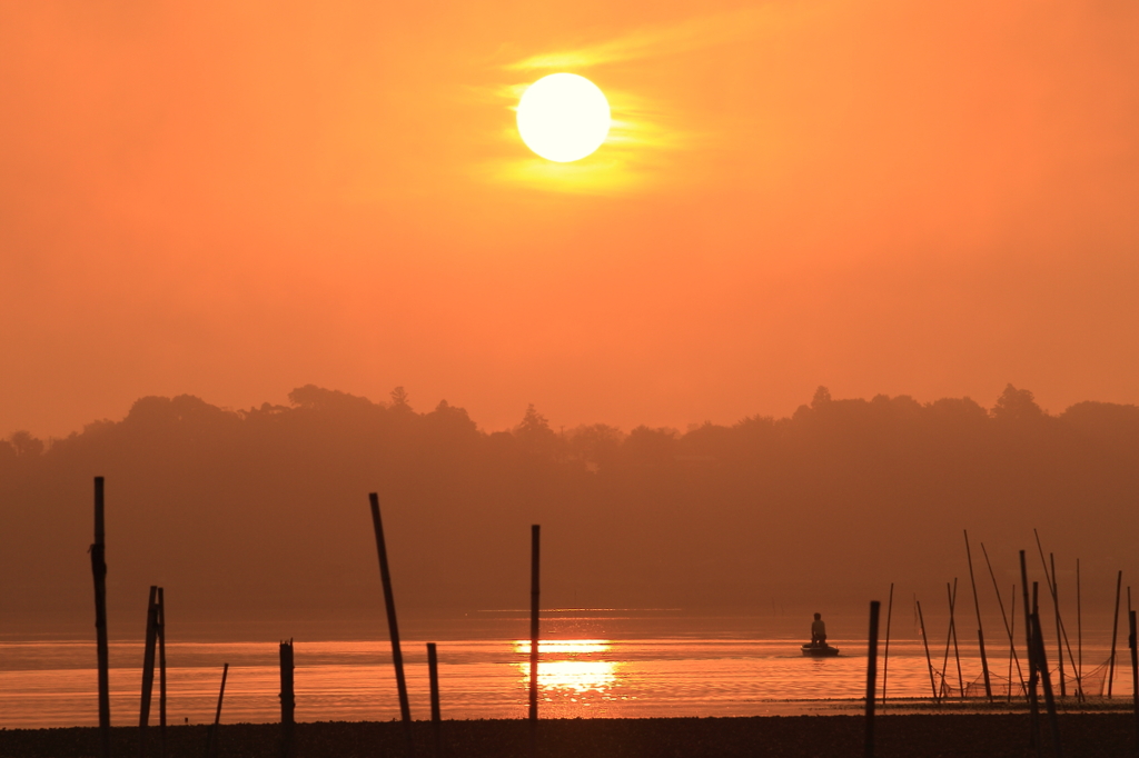 印旛沼・朝景　- 朝陽に満ちて -