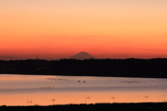 印旛沼・夕景　- 茜空と富士 -