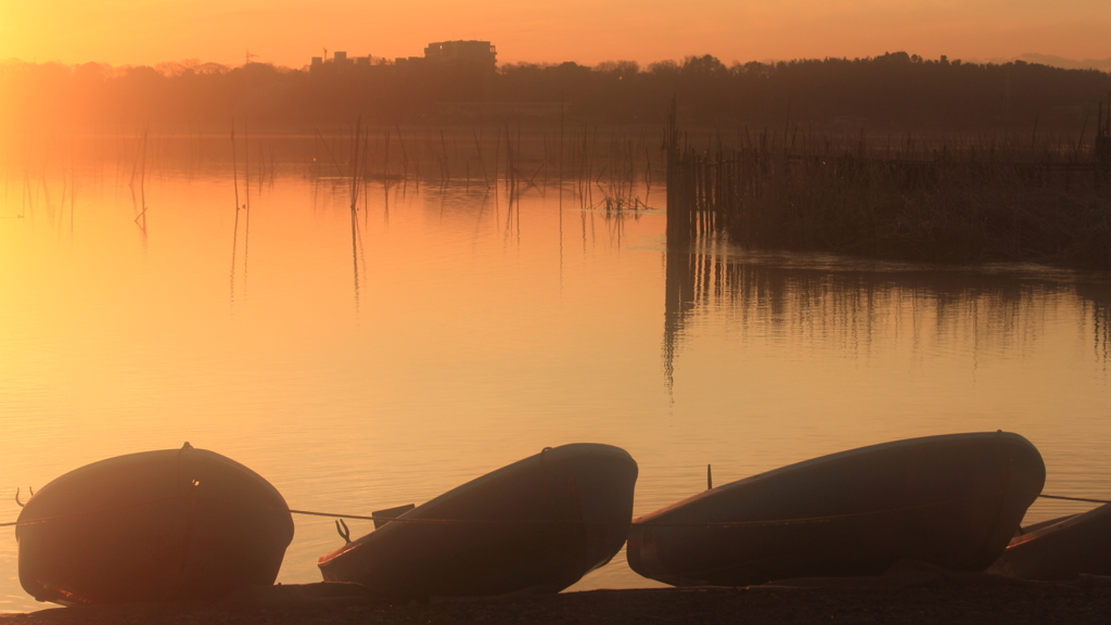 印旛沼・朝景　- 朝陽を浴びて -