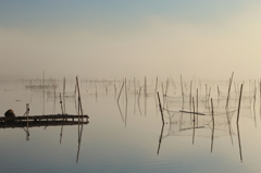 印旛沼・朝景　- 蒼さが戻る霧の朝 -