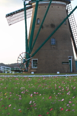 印旛沼・風車　- 赤いウインチと緑のテールビーム -