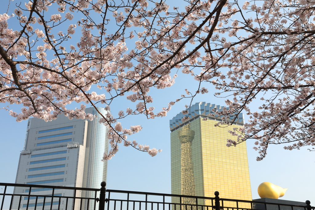 街の情景　- 春のリバーピア吾妻橋 -