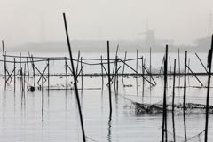 印旛沼・朝景　- 濃霧の彼方のオランダ風車 -