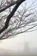 印旛沼・風車　- 春霧に佇む -