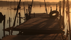印旛沼・朝景　- 朝陽を浴びた桟橋 -