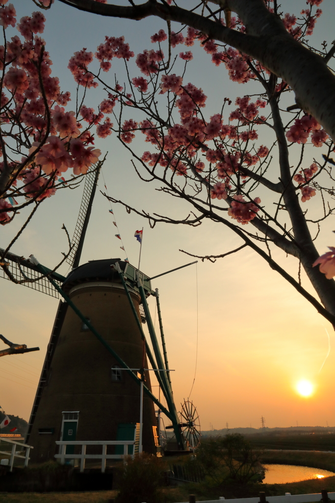 印旛沼・風車　- 夕陽と共に -
