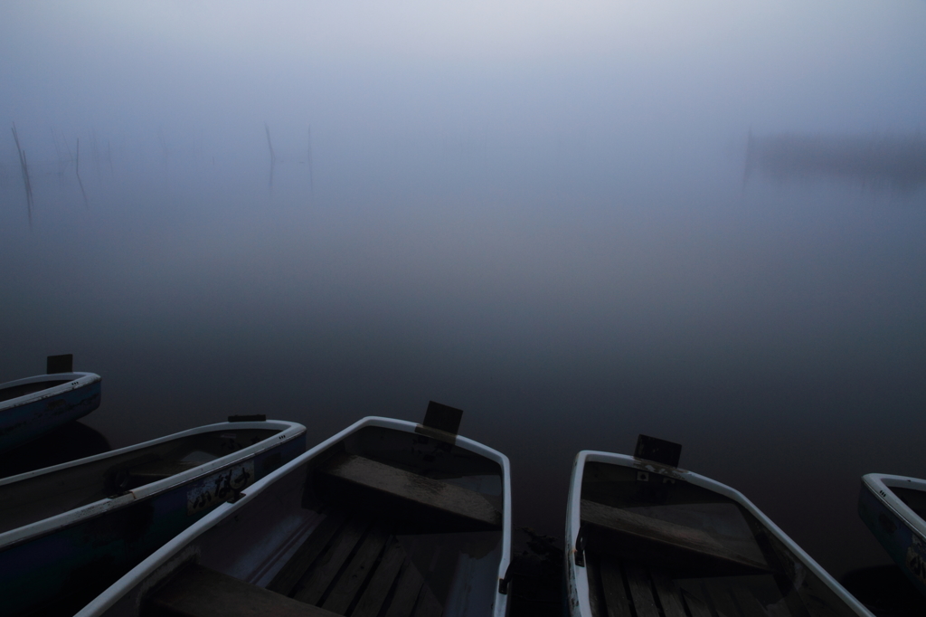 印旛沼・朝景　- 濃霧の水面 -
