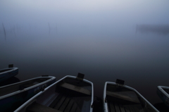 印旛沼・朝景　- 濃霧の水面 -