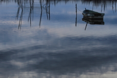 印旛沼・朝景　- ブルーグレーの水面に佇む -