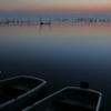 印旛沼・朝景　- 霧の夜明け -