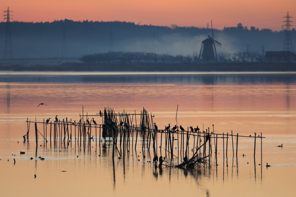 印旛沼・朝景　- 朝靄の風車と共に -