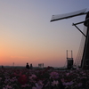 印旛沼・風車　- 秋の夕陽を楽しみながら -