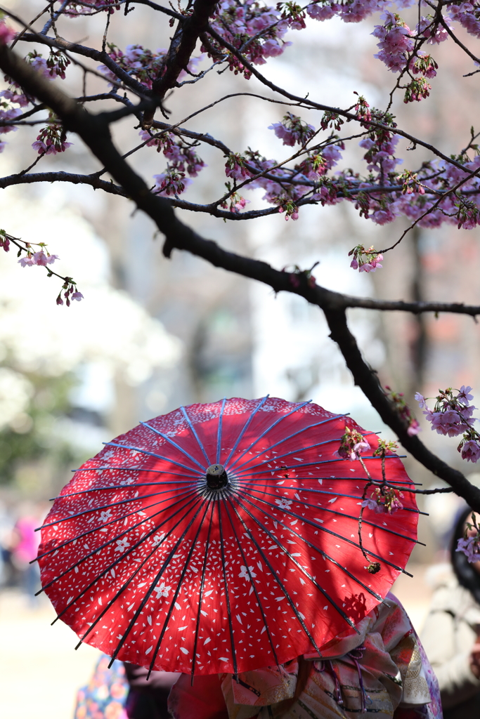 花便り　- 陽光の下で -