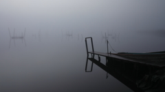 印旛沼・朝景　- 白霧の幻想 -