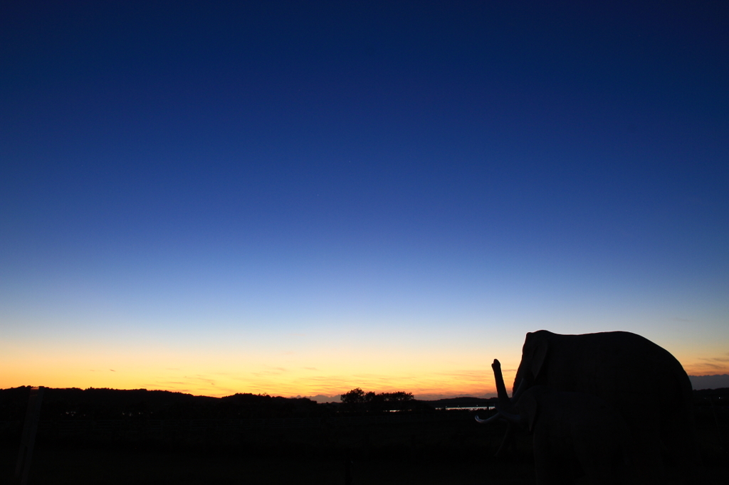 印旛沼・夕景　- ナウマンゾウと見る夕空 -