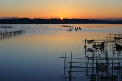 印旛沼・朝景　- 朝陽が昇る刻 -