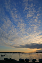 印旛沼・朝景　- 碧空の昇り雲 -