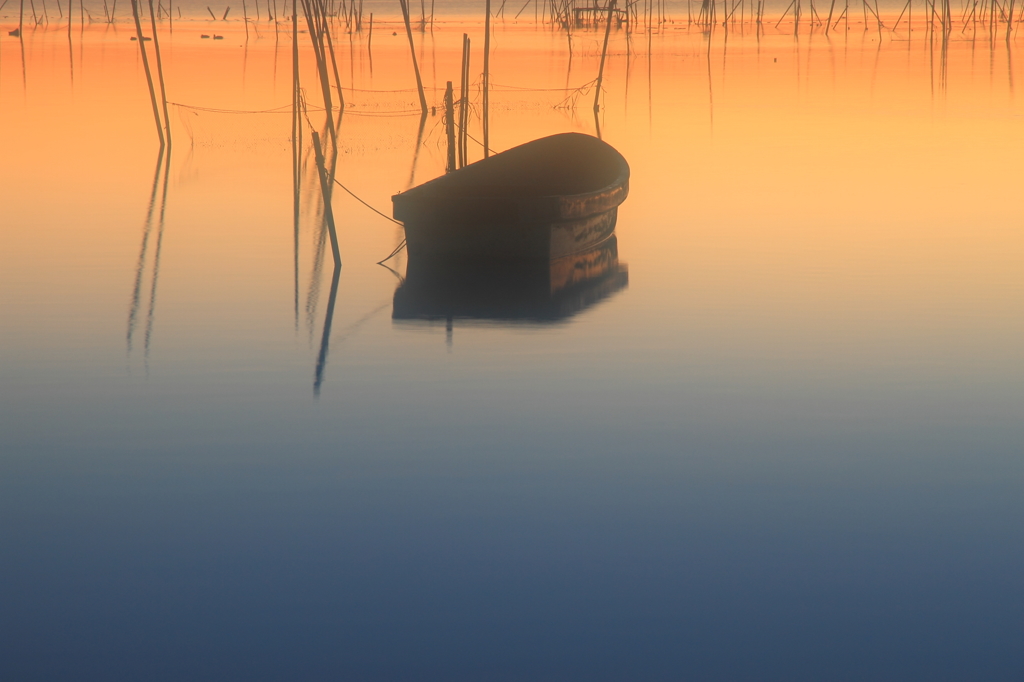 印旛沼・朝景　- 朝焼けの水面に佇む -