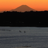 印旛沼・夕景　- 秋日暮れの富士 -