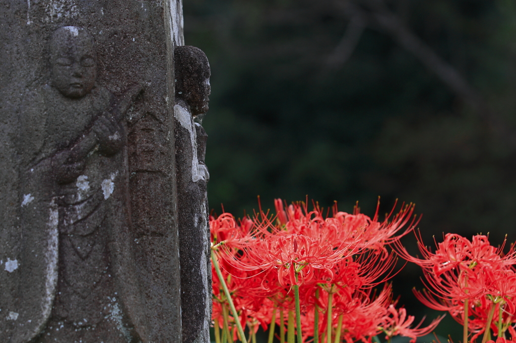 花便り　- 六地蔵像と彼岸花 -