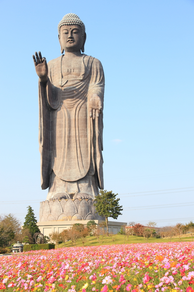 街の情景　- 巨大仏 -