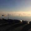 印旛沼・朝景　- 濃霧明けの輝き -