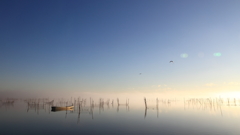 印旛沼・朝景　- 白霧が残る朝 -